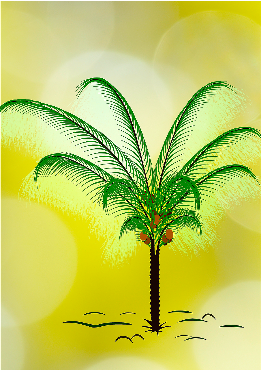 tree palm palm leaves free photo