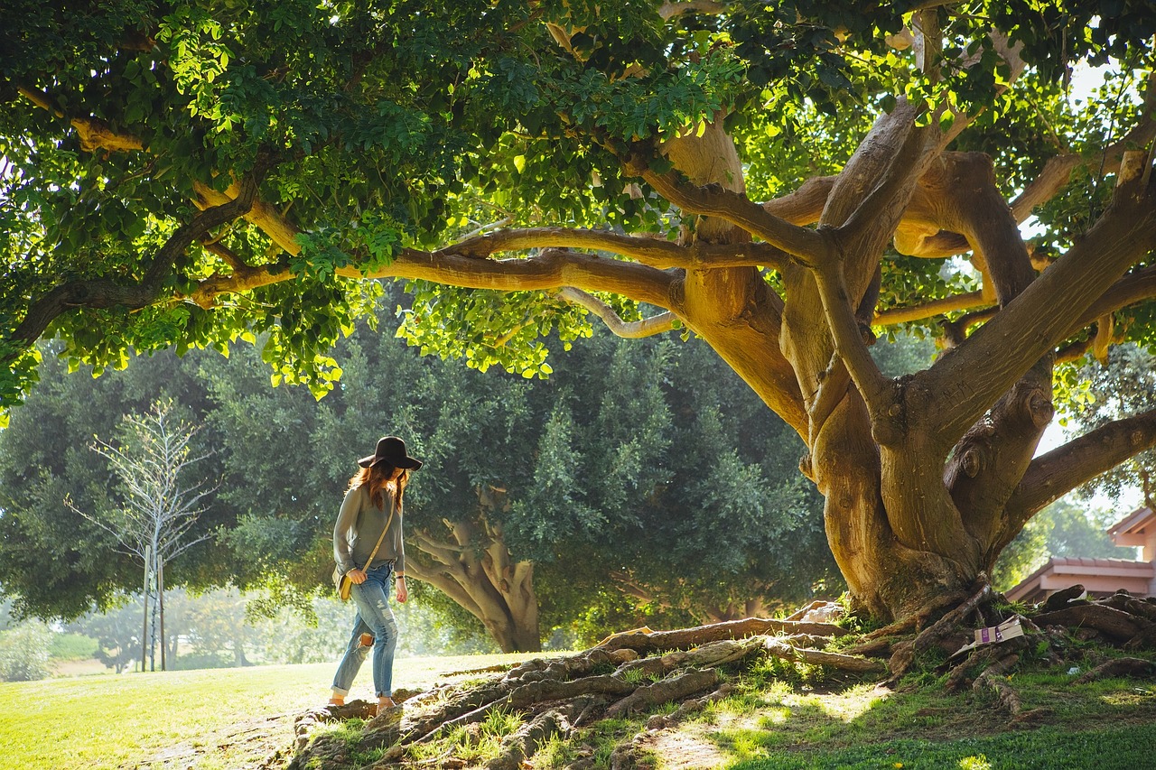 tree outdoors female free photo