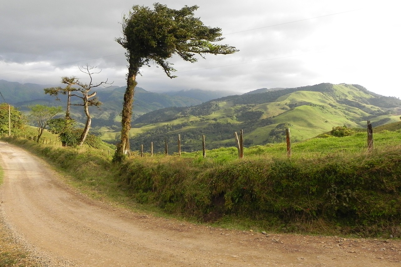 tree landscape costa rica free photo