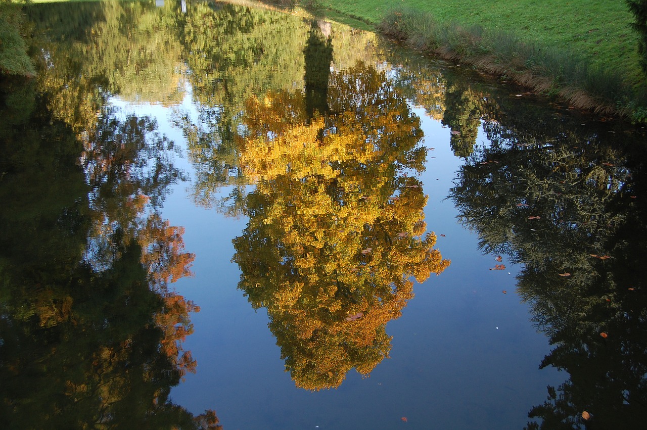 tree castle park free photo