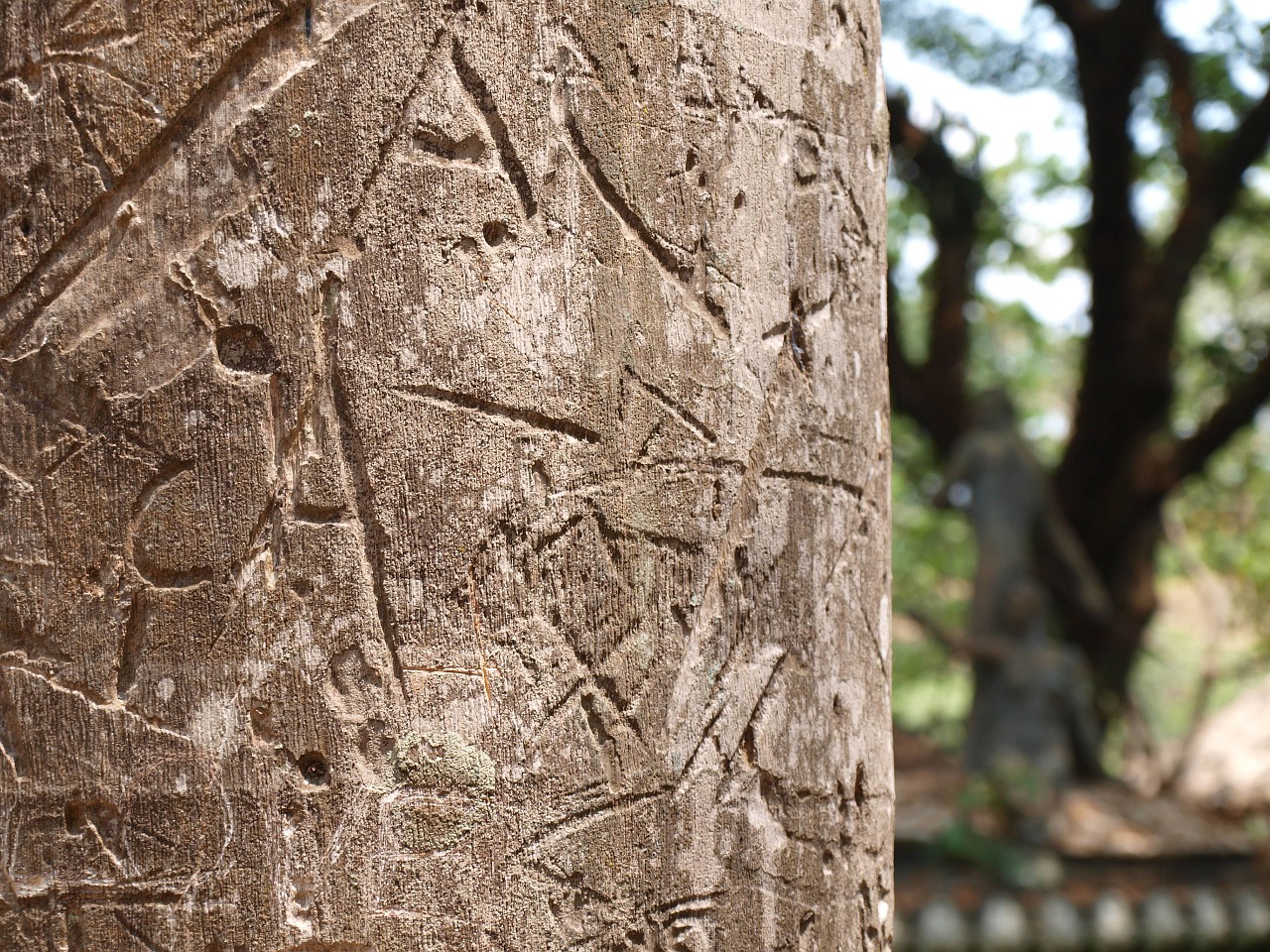 tree carving symbol free photo