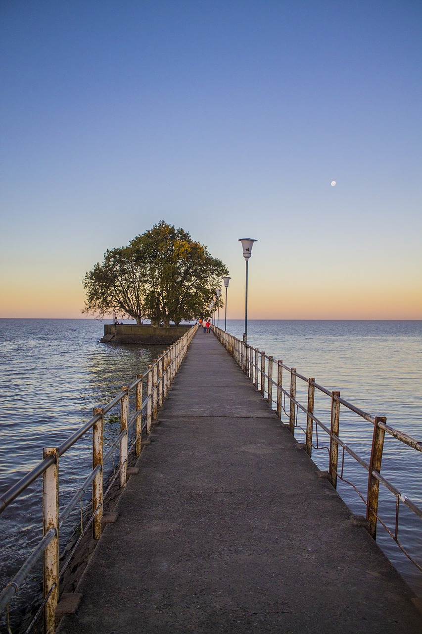 tree costa landscape free photo