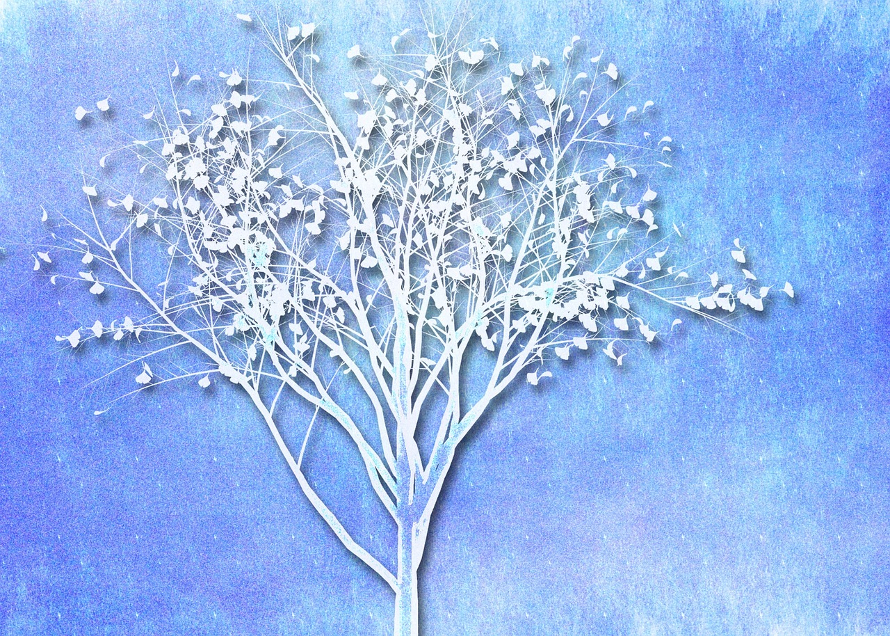 tree blue white free photo