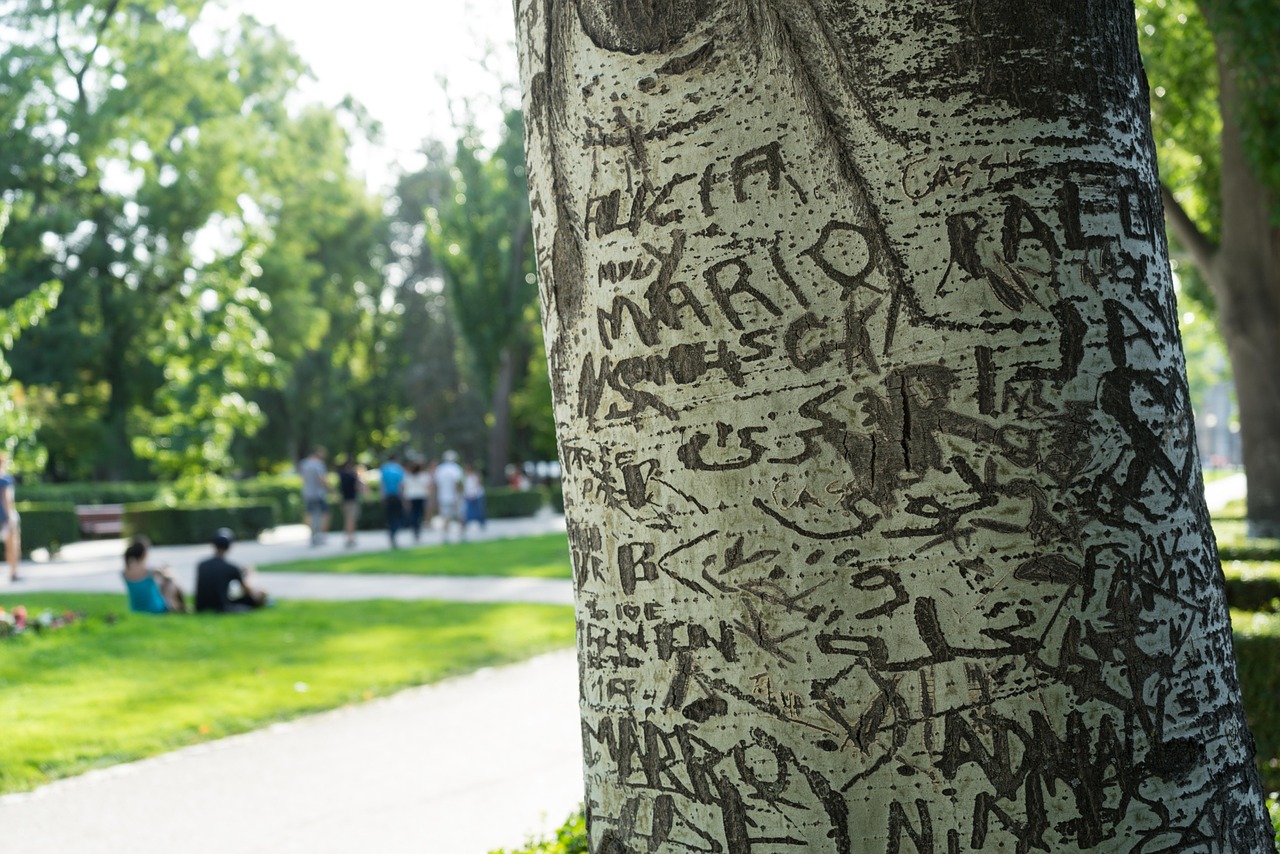 tree love romantic free photo