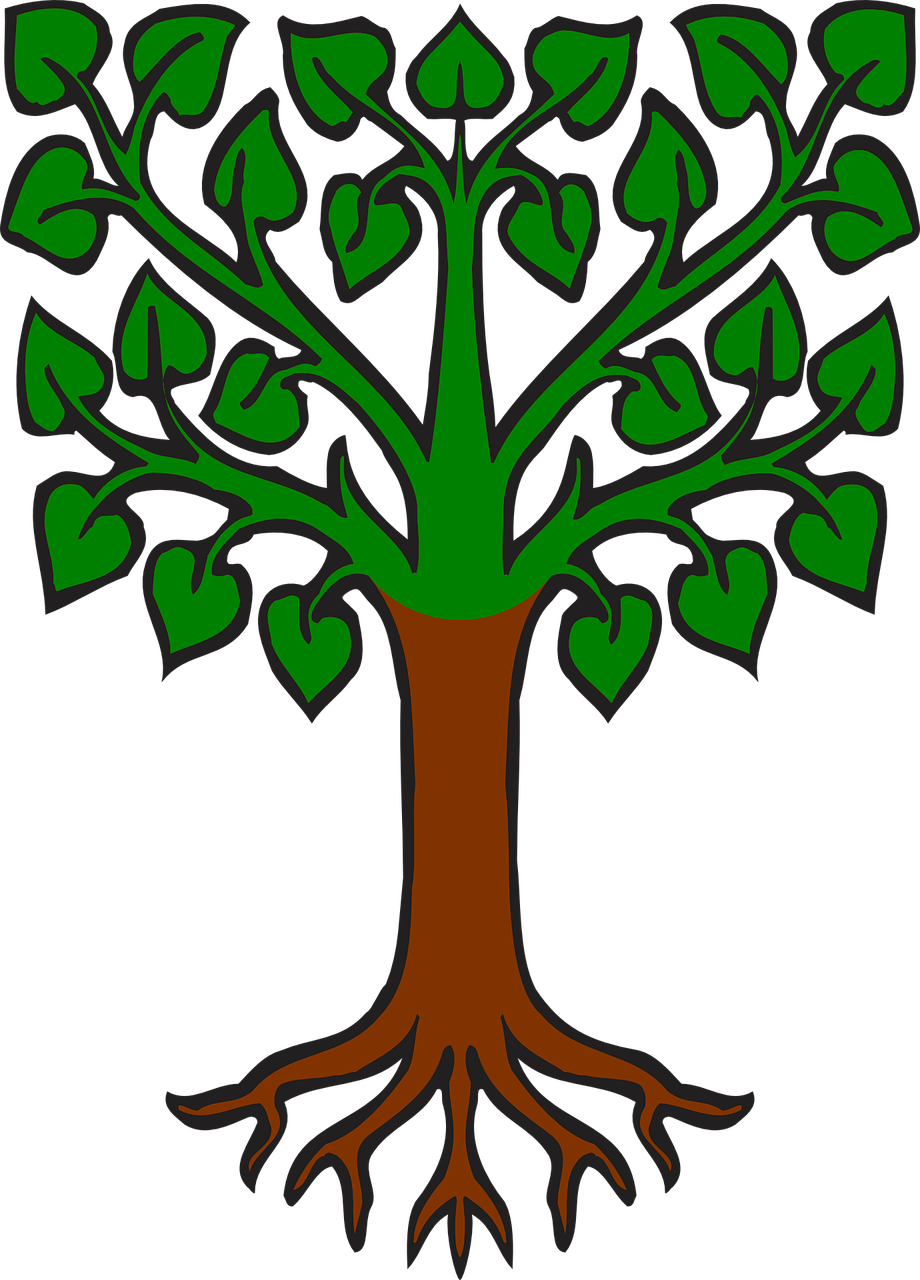 tree tilia heraldic free photo