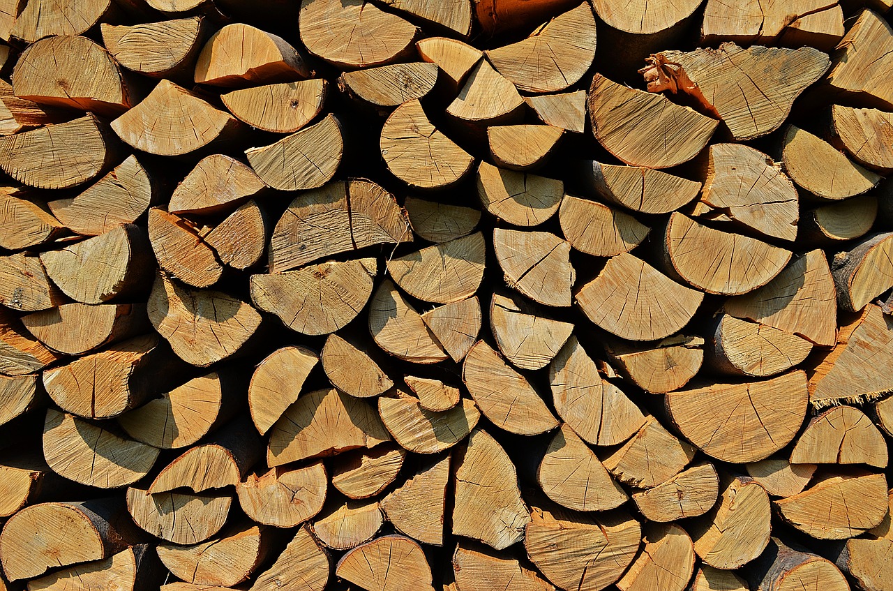 tree wood background free photo