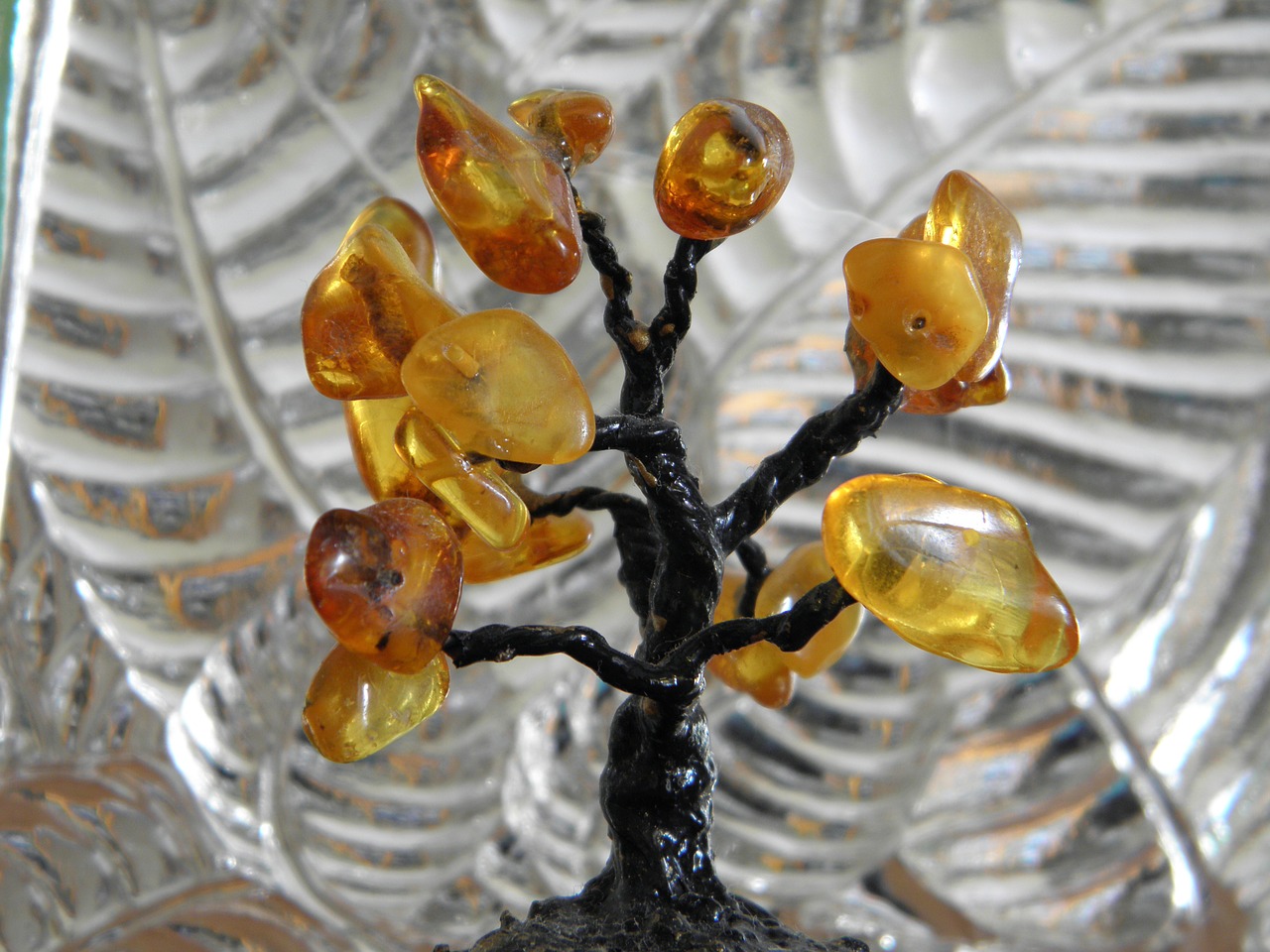 tree amber decorative free photo