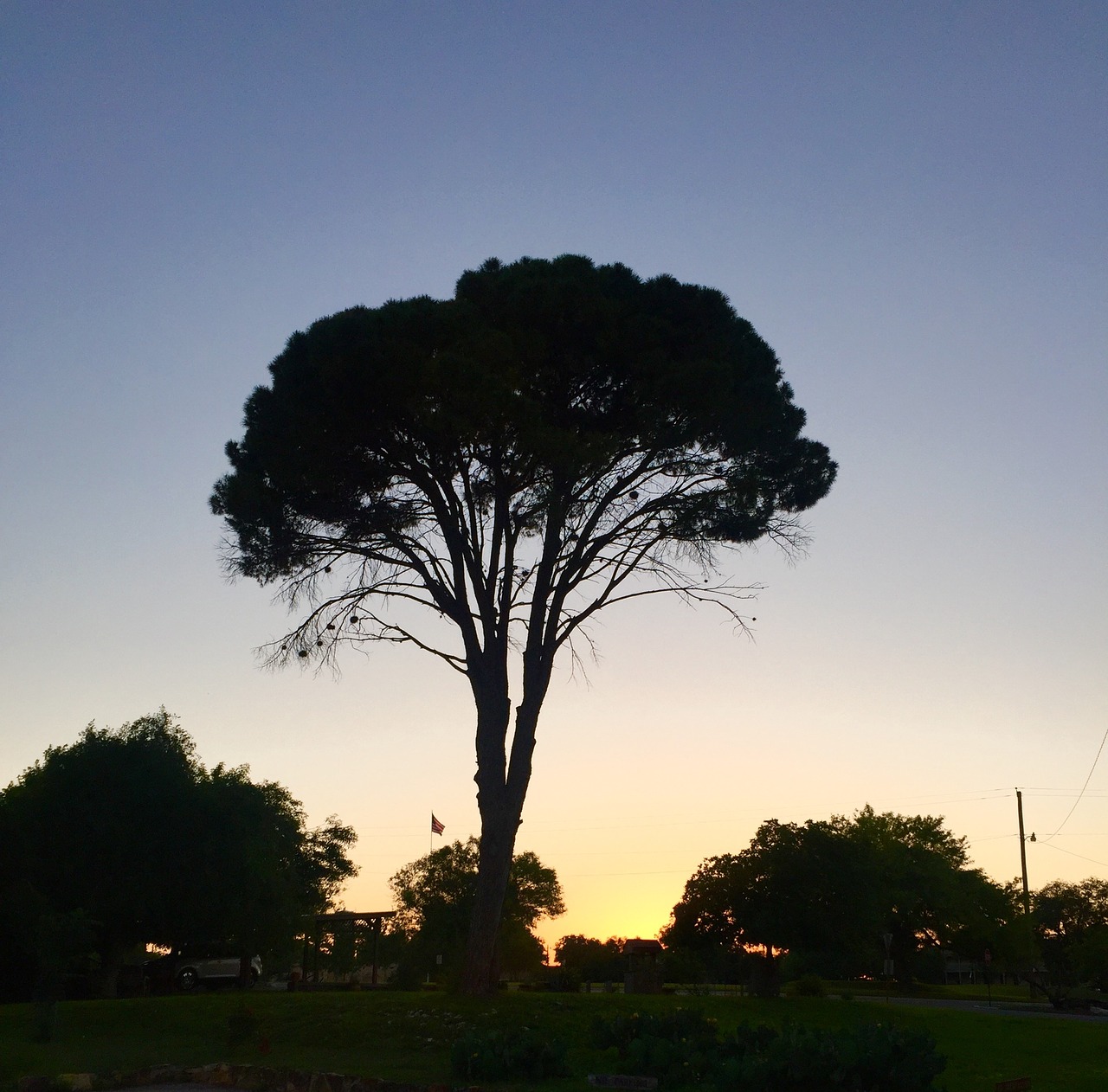 dusk evening park free photo