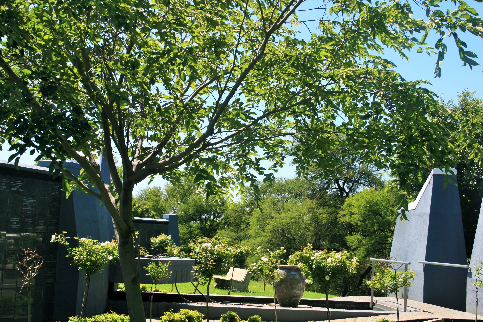 garden memorial tree free photo