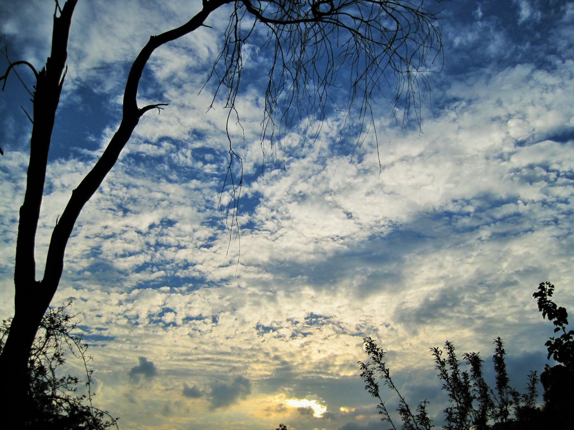 sky blue clouds free photo