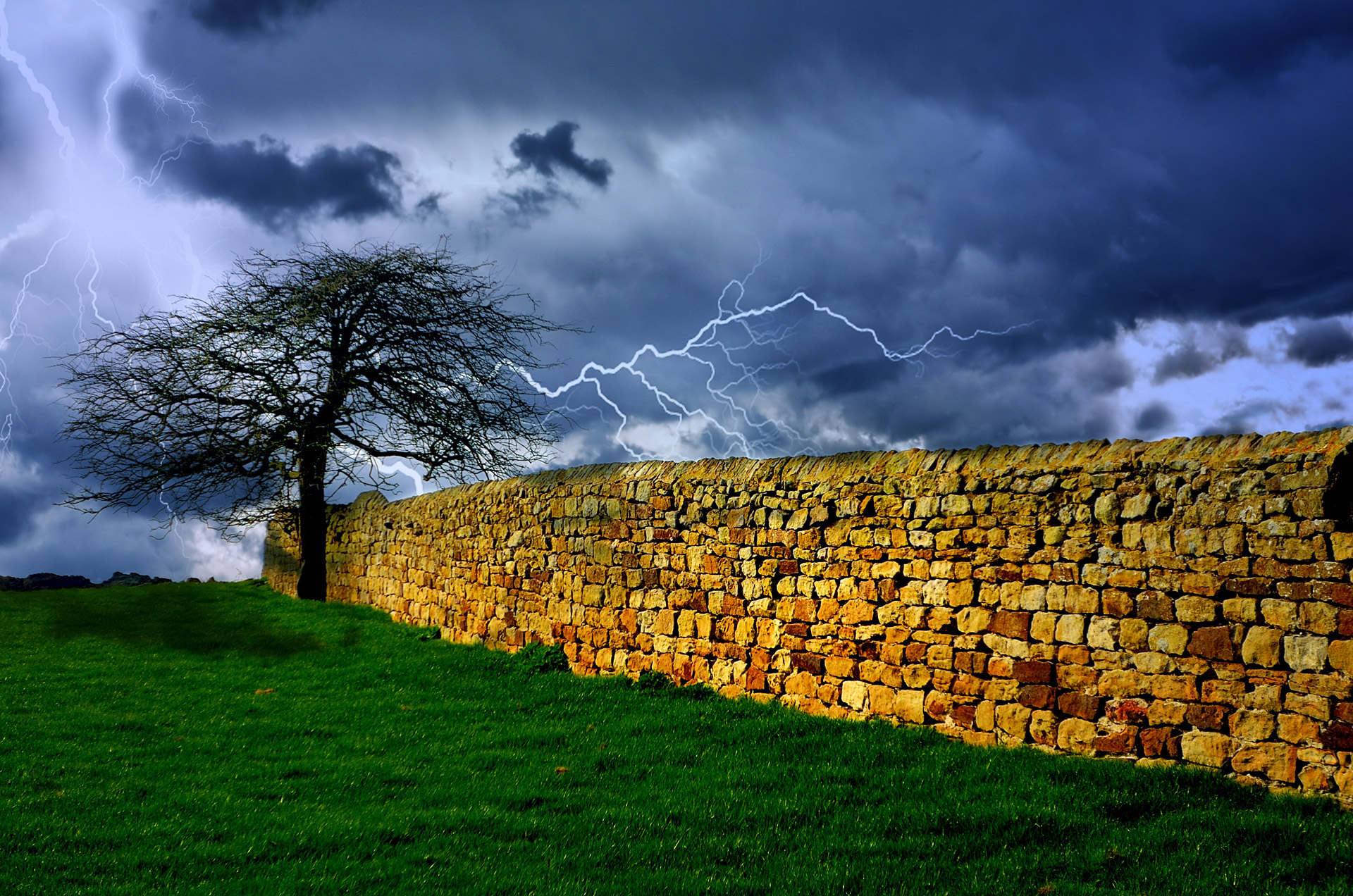 tree storm sky free photo