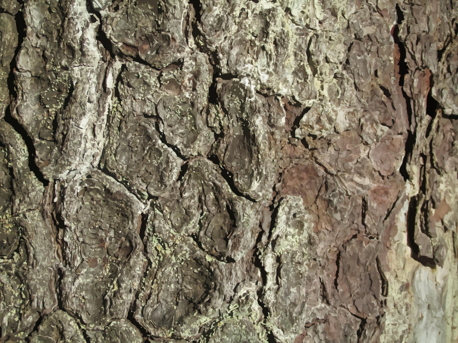 tree bark trunk free photo