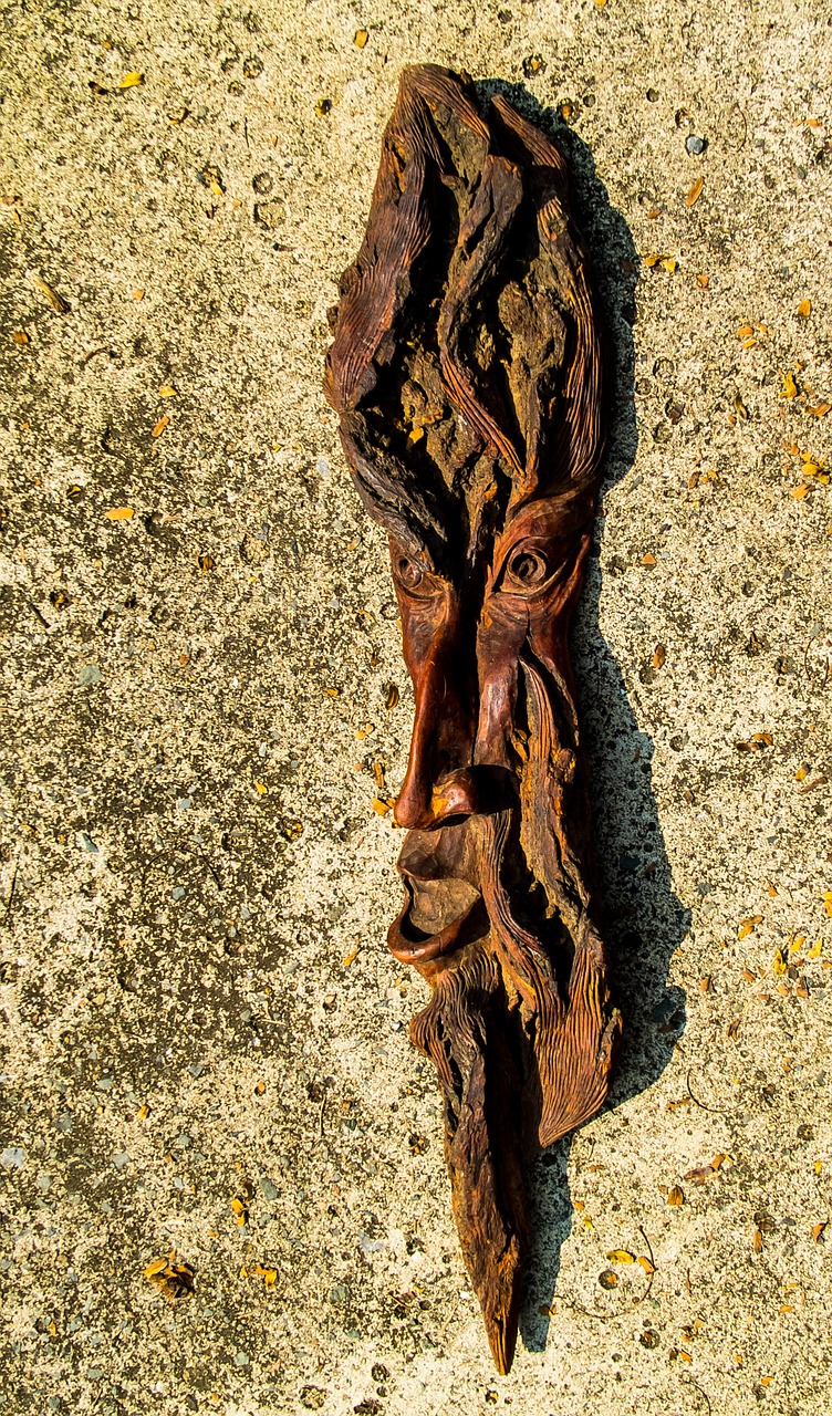 tree bark bark carving free photo