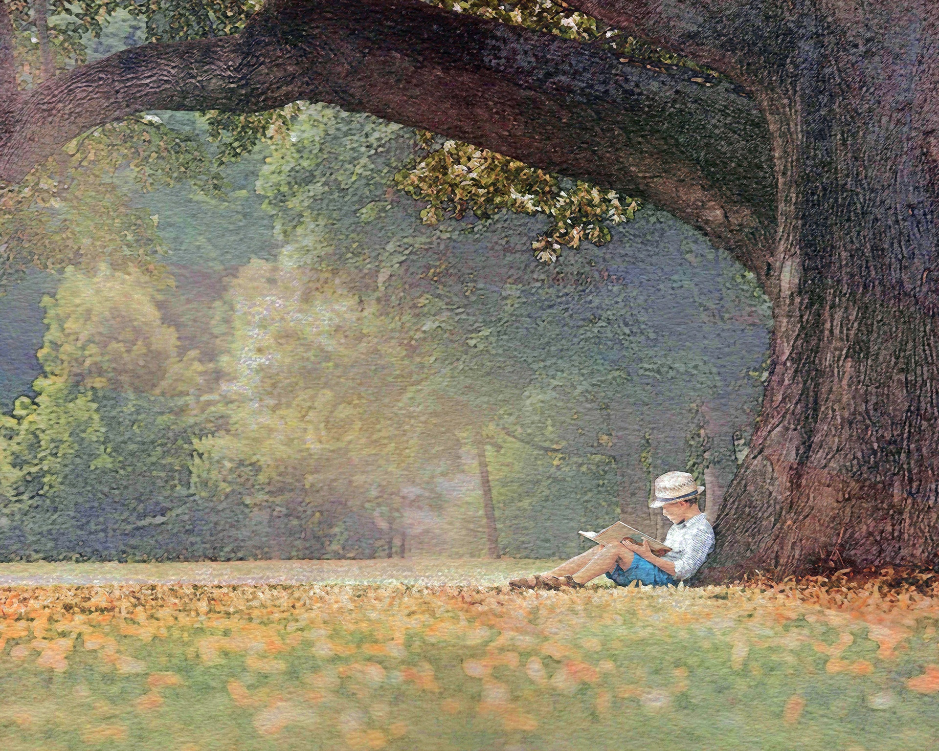 tree boy book free photo