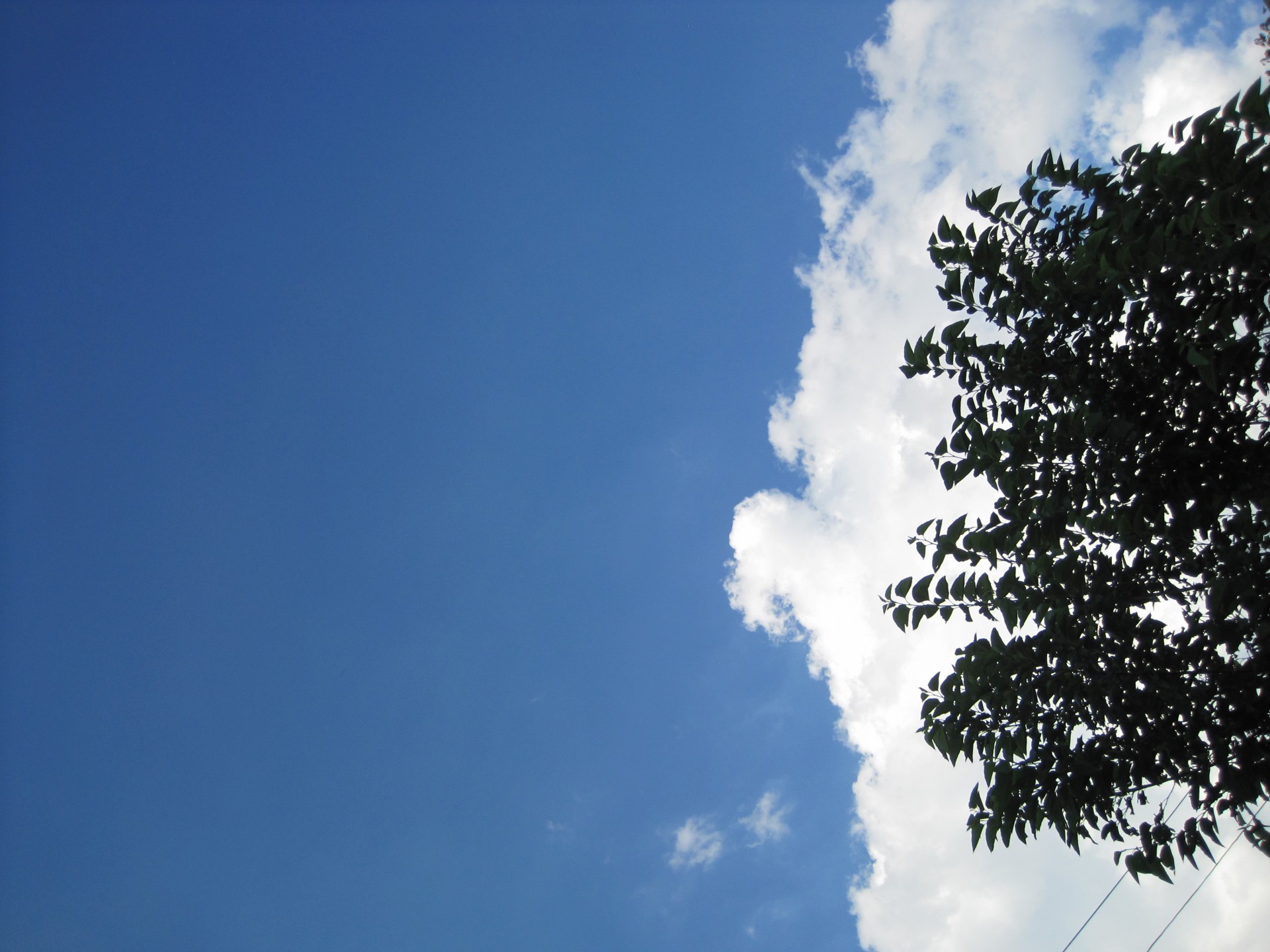 sky blue cloud free photo