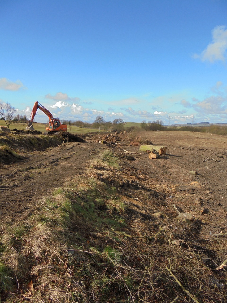 tree felling jcb construction free photo