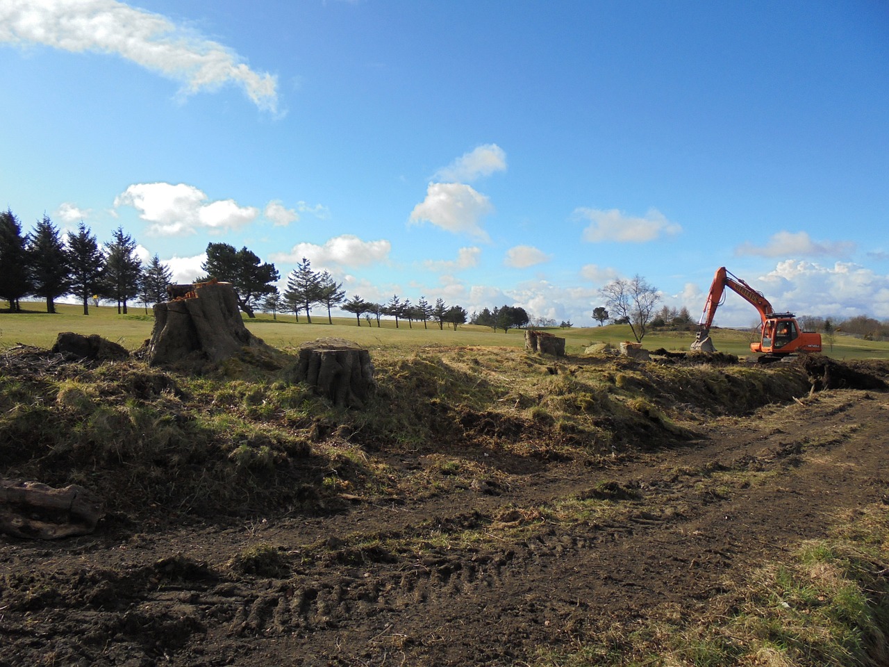 tree felling jcb construction free photo