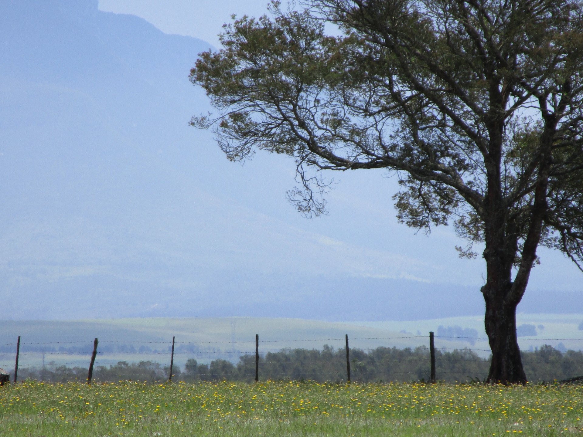 distant farm fence free photo