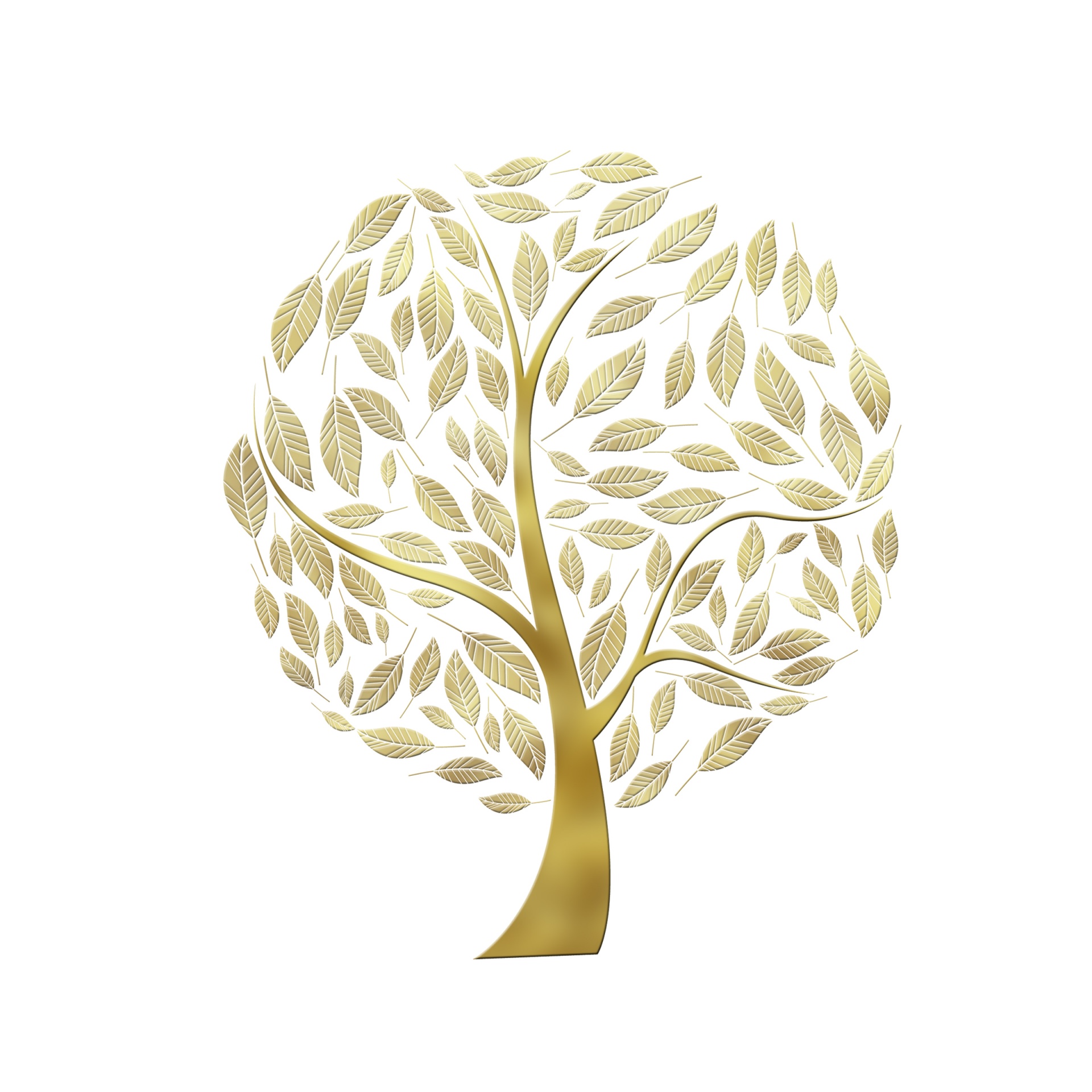 Tree Gold Golden Leaves Leaf Free Image From Needpix Com