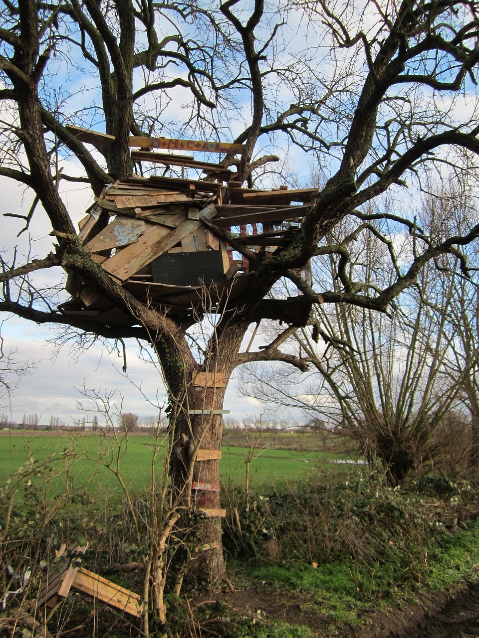 tree house deteriorated old free photo