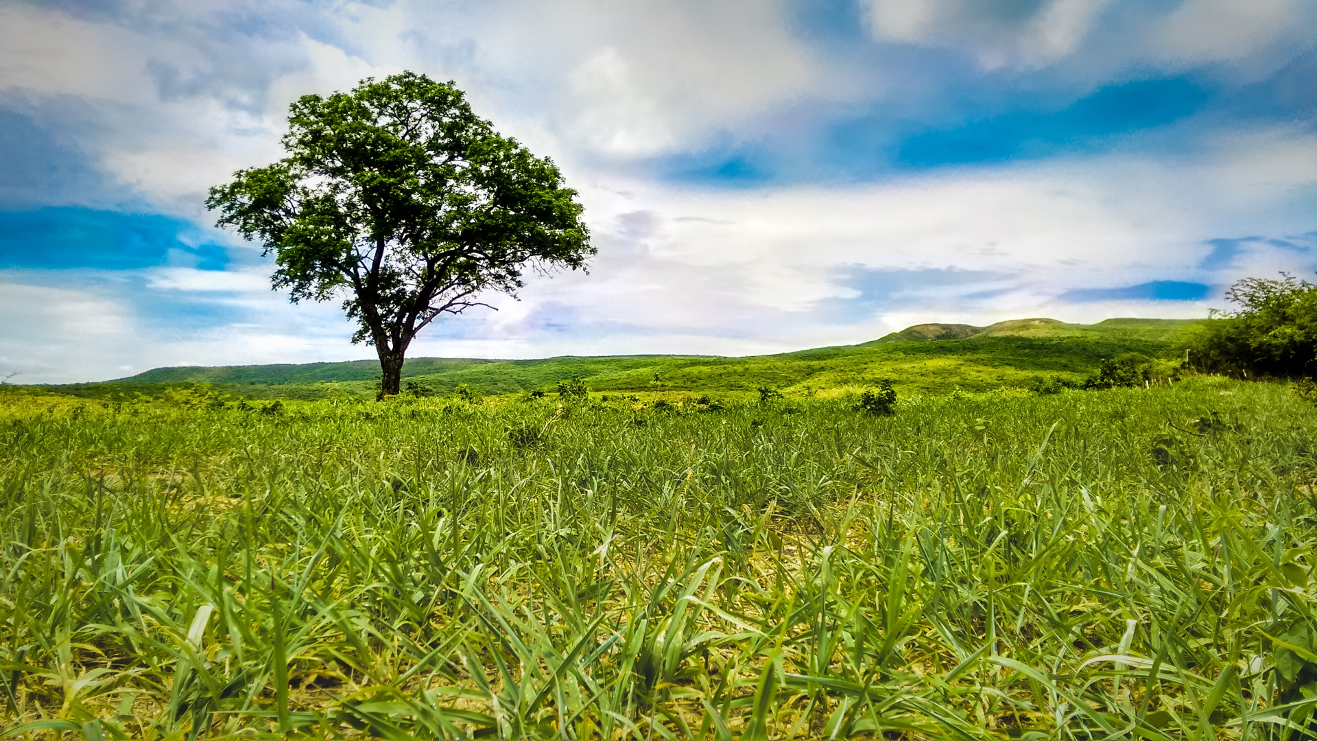 landscape sky blue free photo