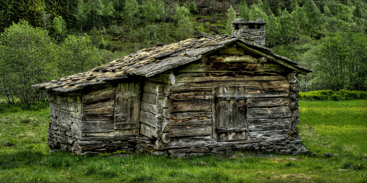 tree log  rustic  wooden free photo