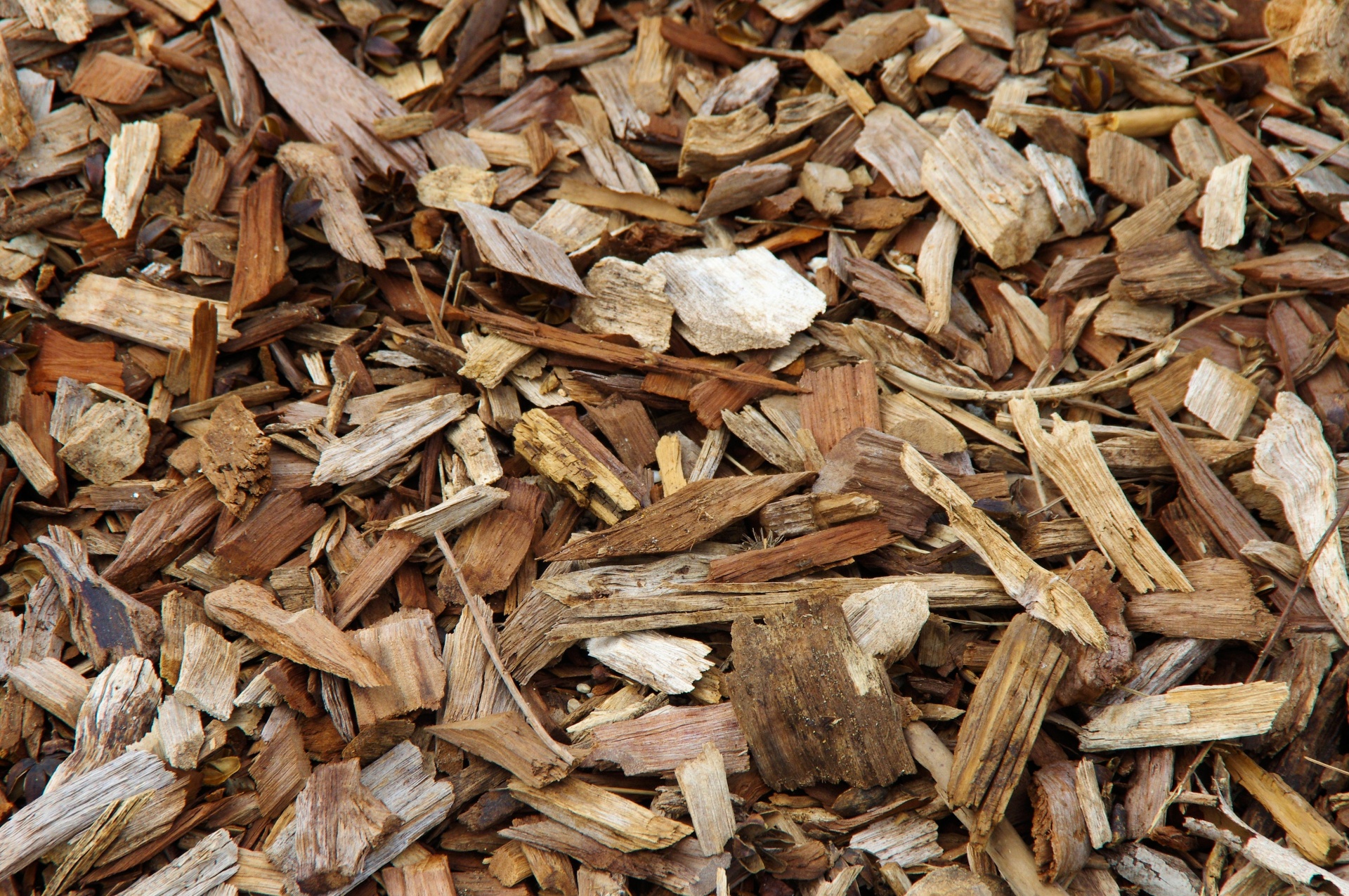 tree mulch texture free photo