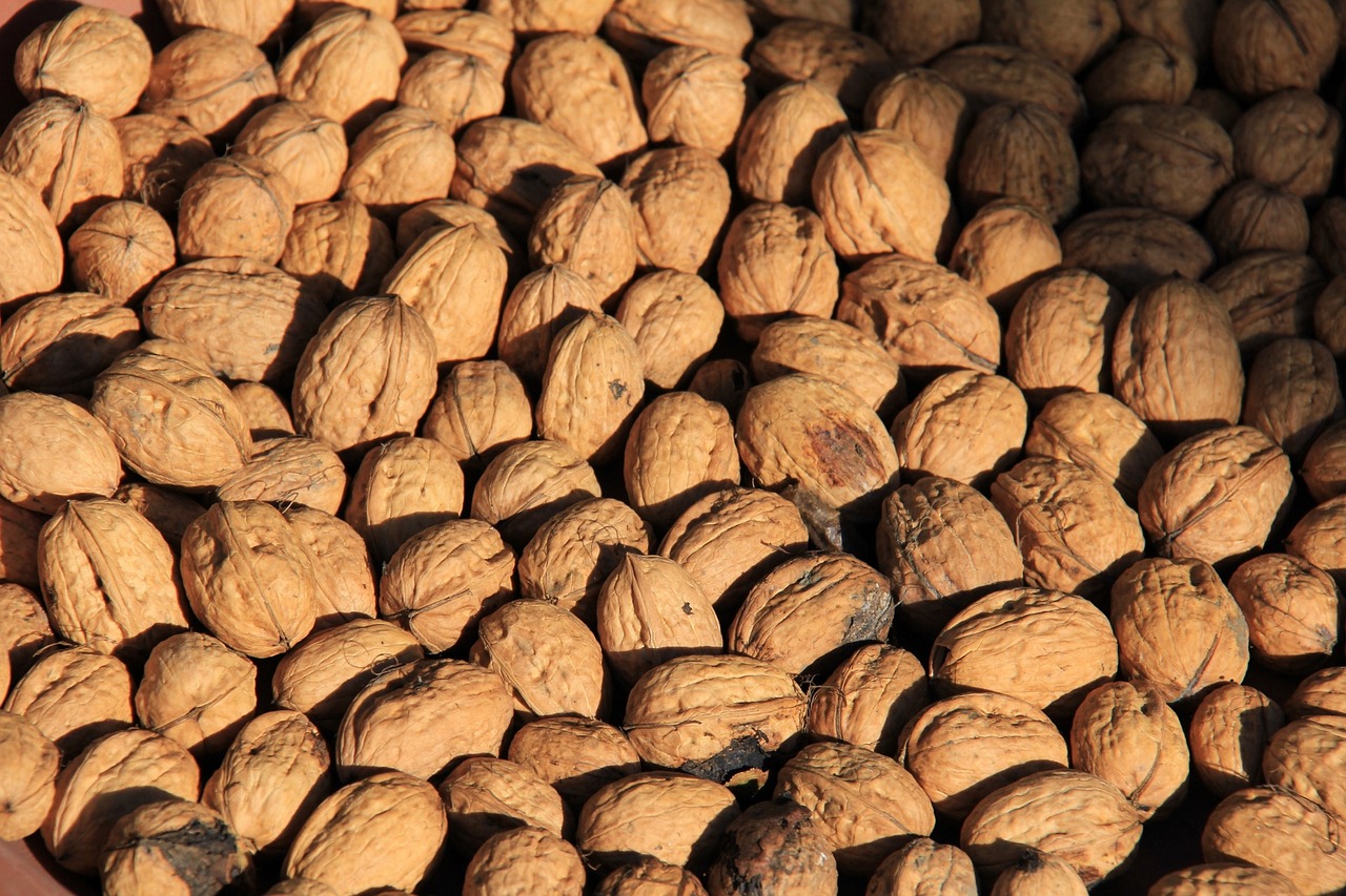 tree nuts  quantitative  nuts free photo