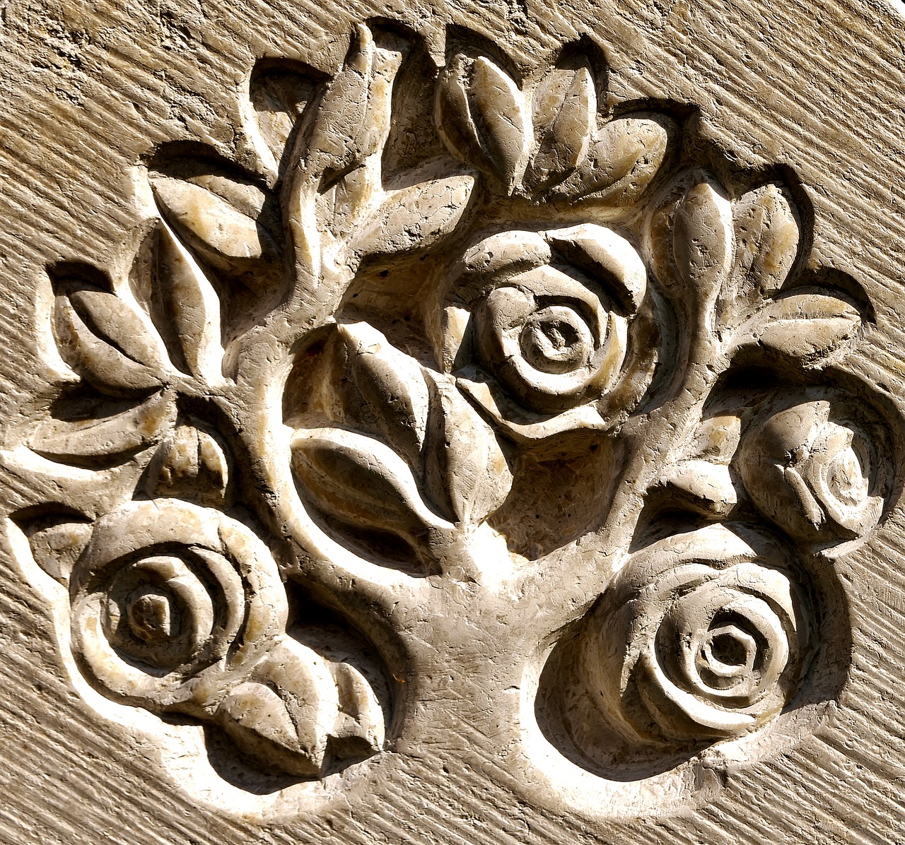 tree of life art stone free photo