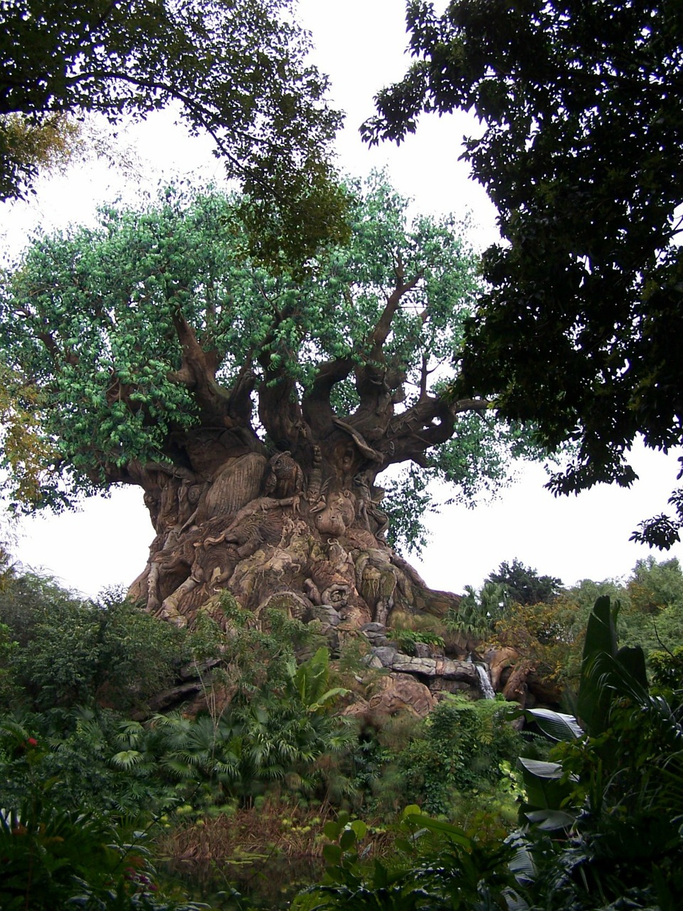 tree of life animal kingdom disney free photo