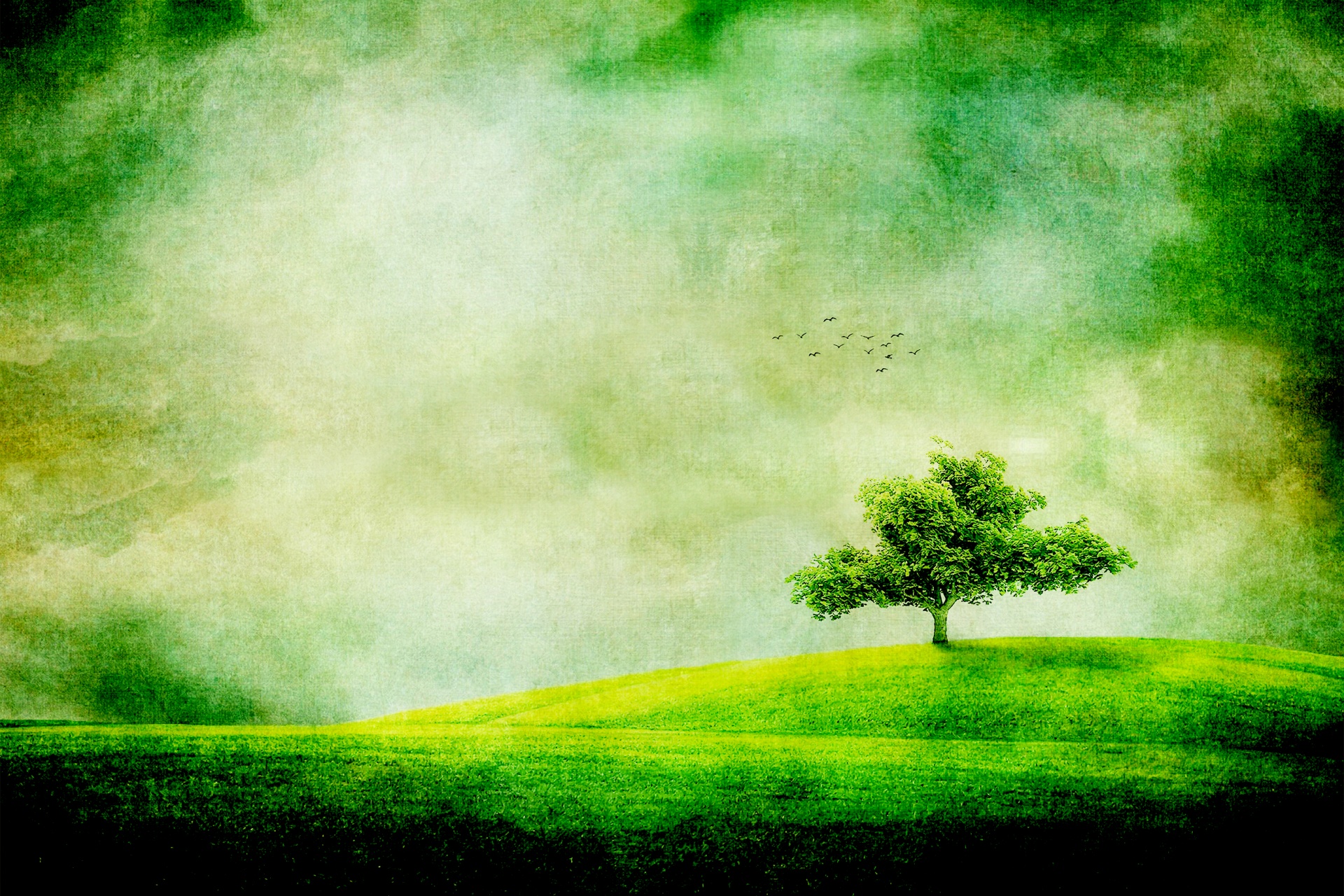 tree landscape hill free photo