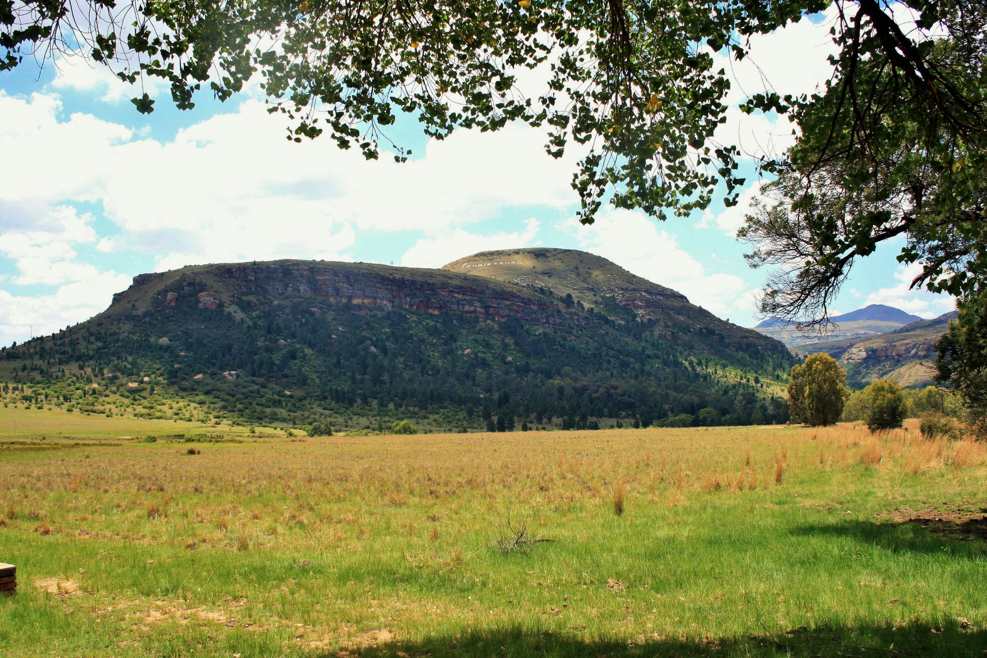 hill green landscape free photo