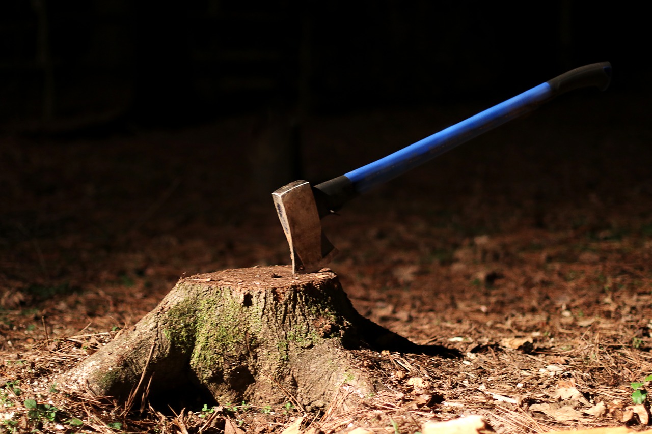 tree stump  axe  wood free photo
