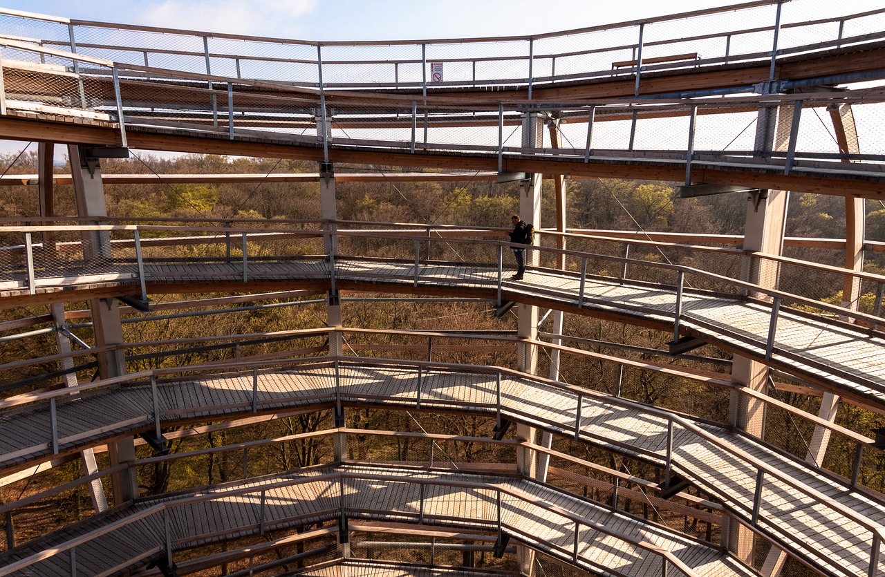 tree trail construction observation tower free photo