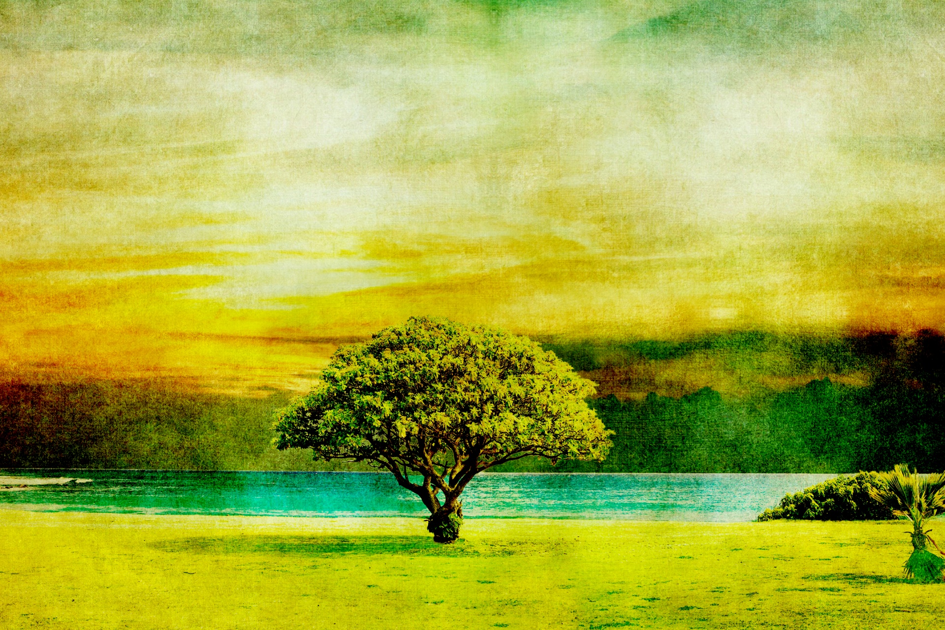 tree sunset vintage free photo