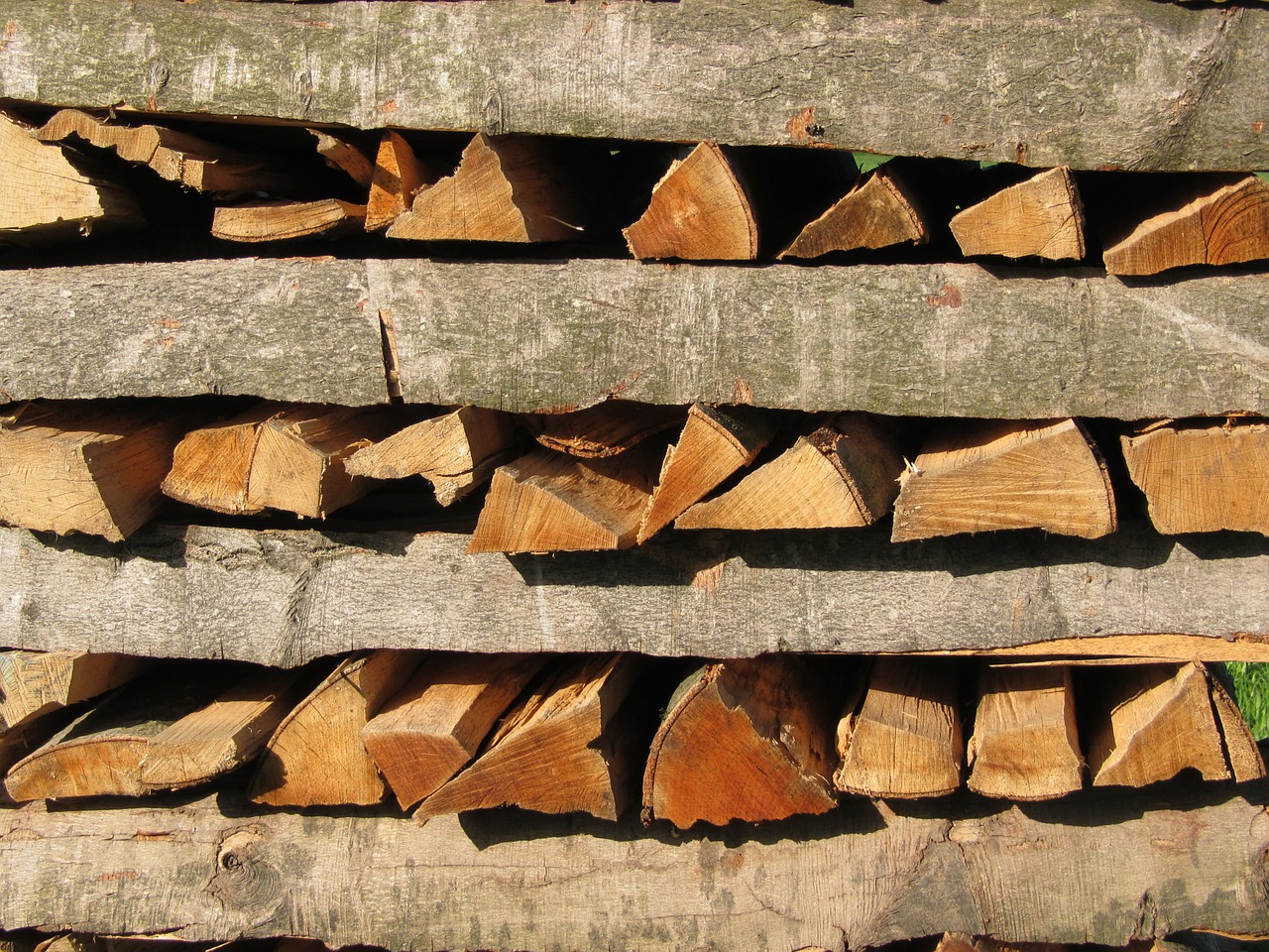 tree wood firewood wood free photo