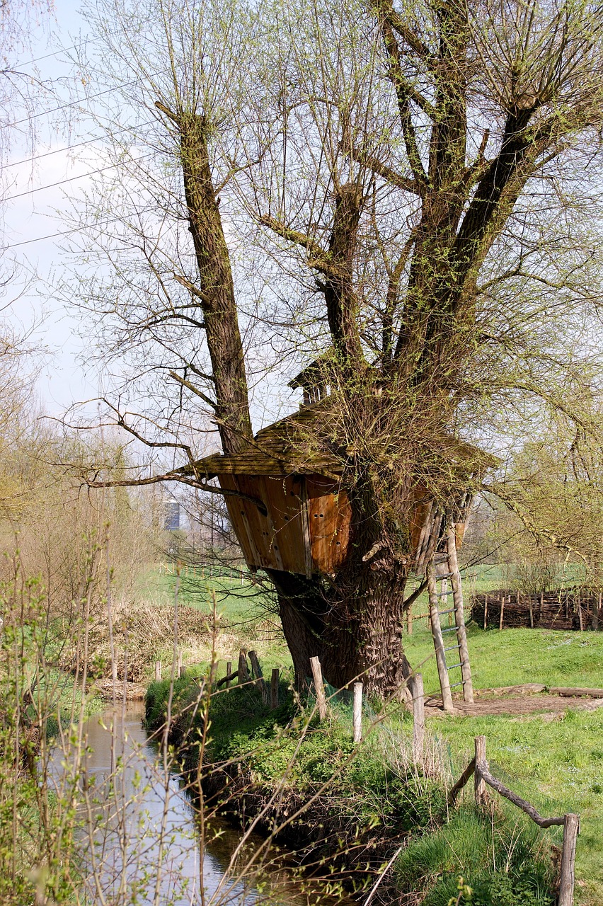 treehouse nature landscape free photo