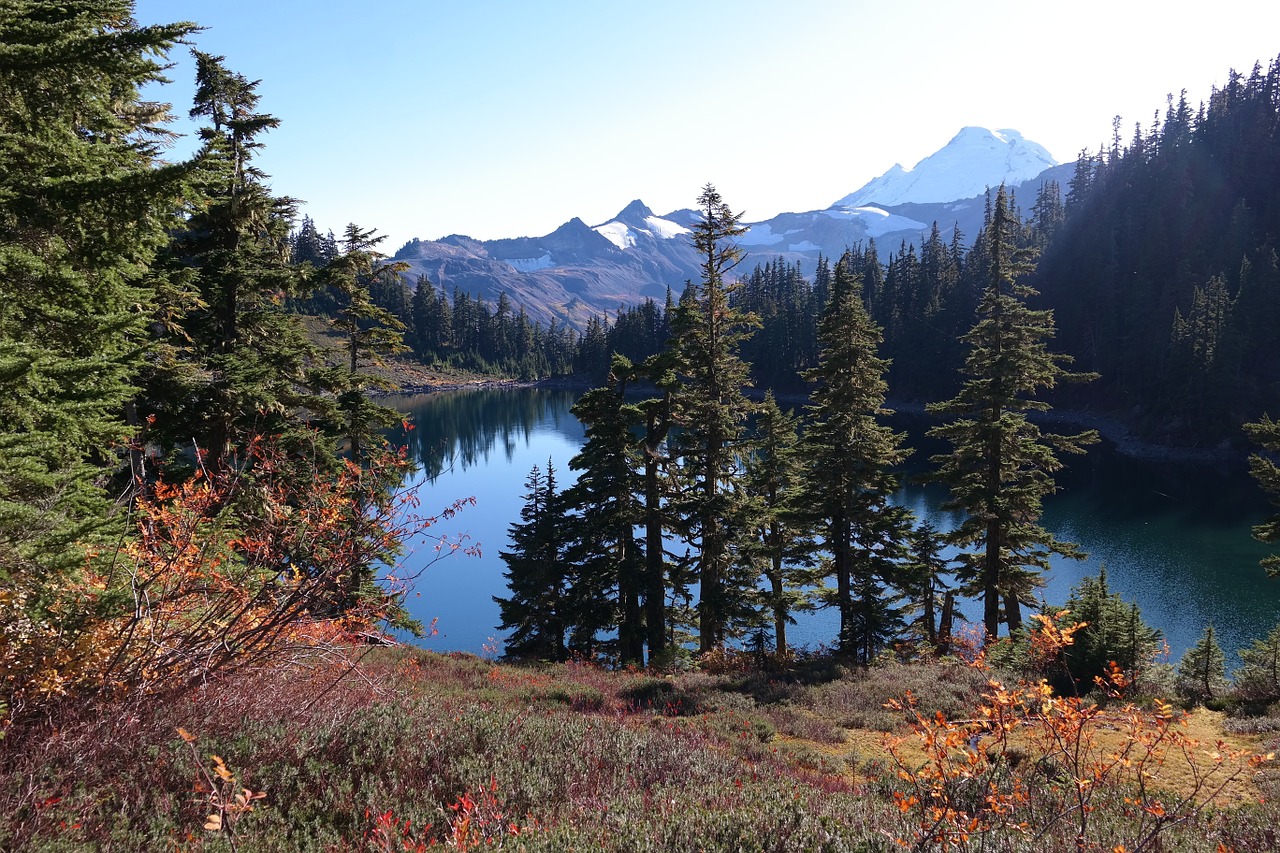 trees lake mountains free photo