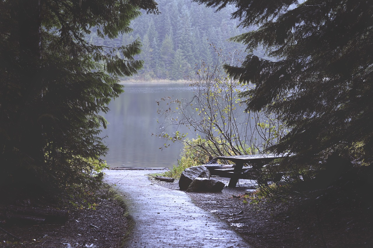 trees water lake free photo