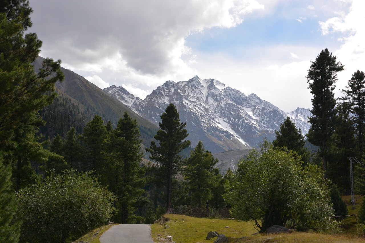 trees mountain landscape free photo