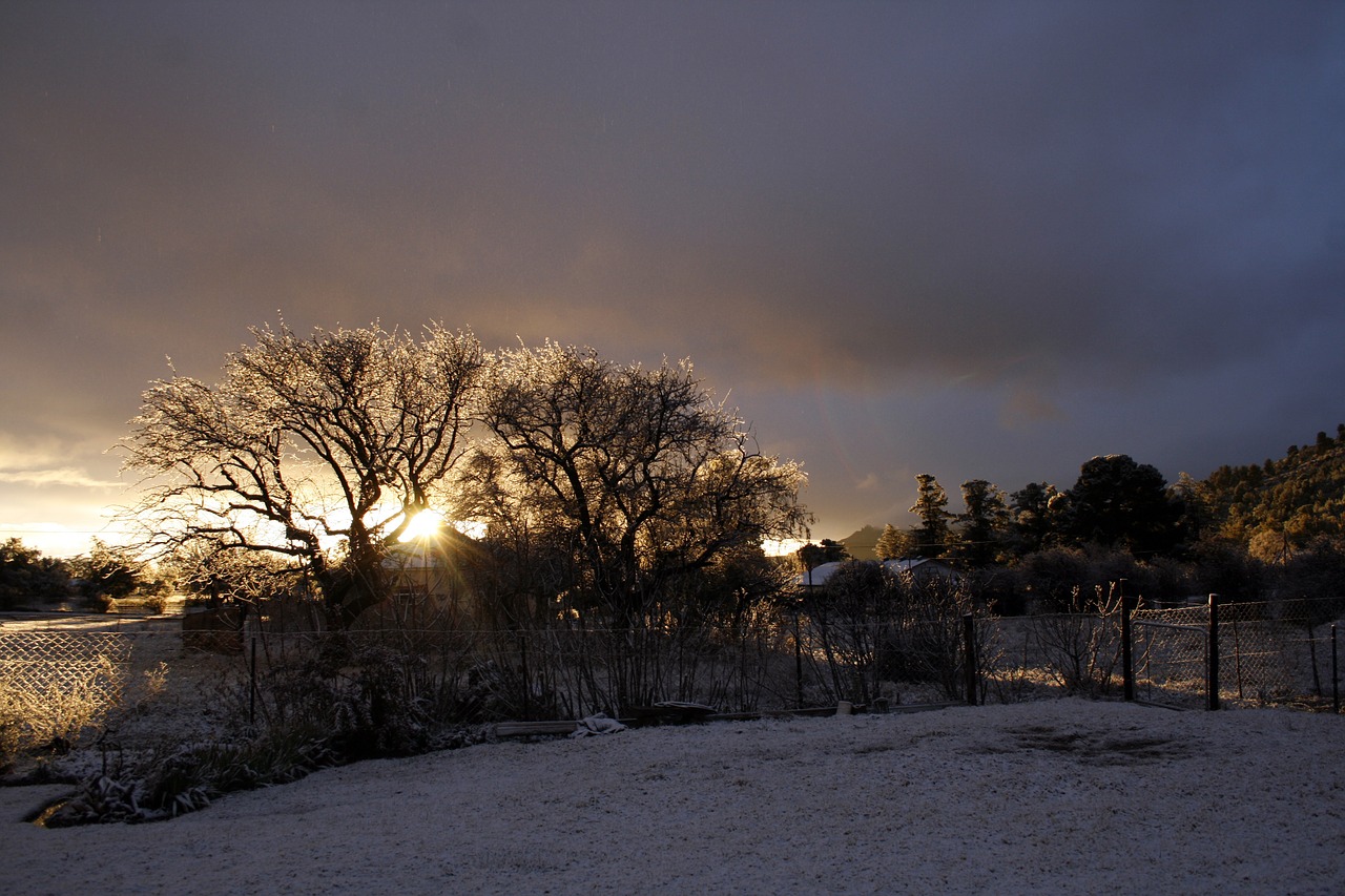 trees clouds snow free photo