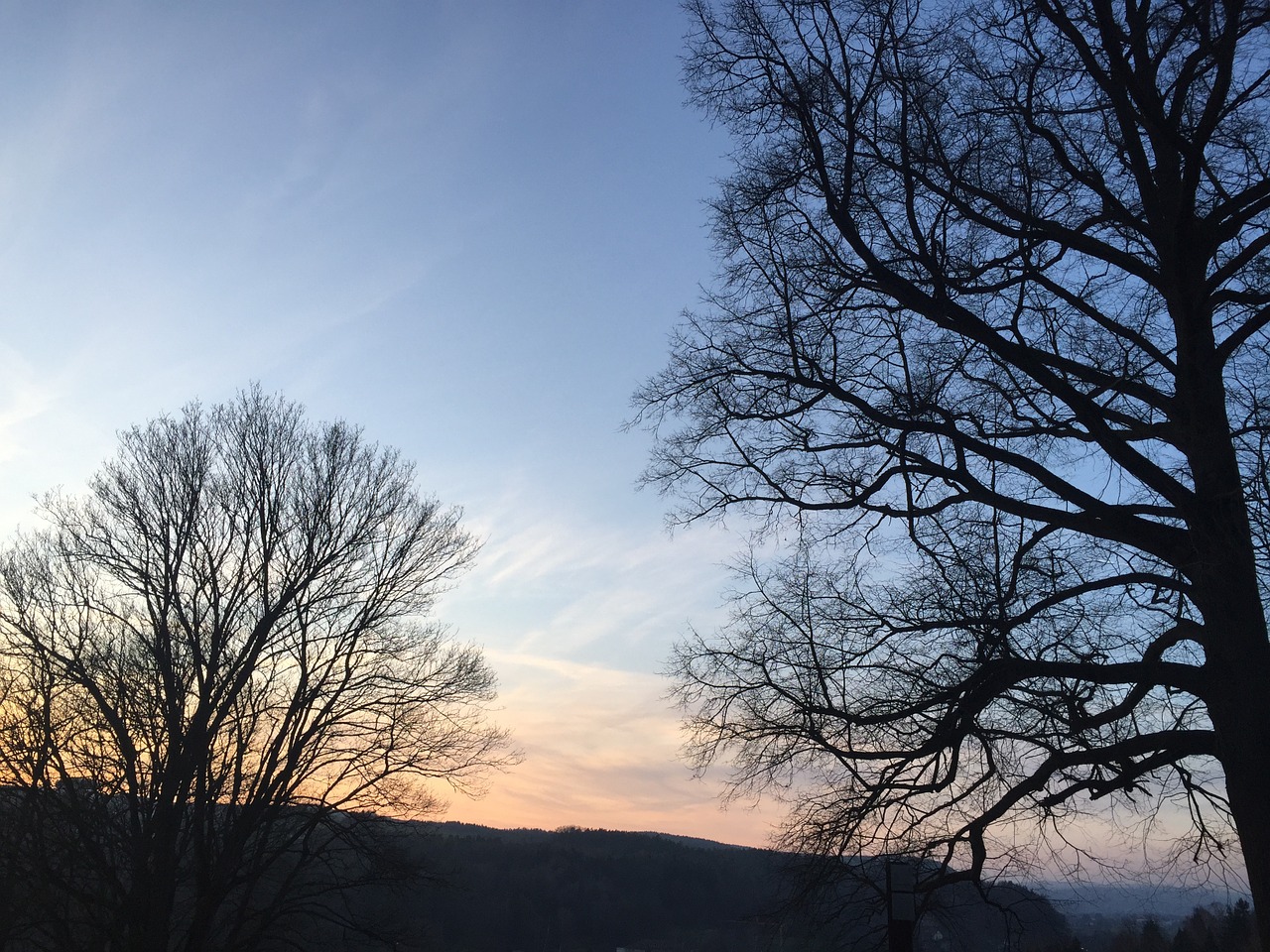 trees sunset sky free photo