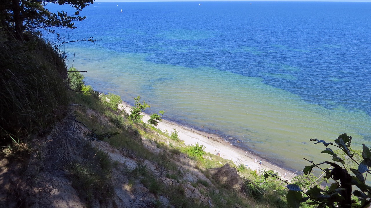 trees baltic sea beach free photo