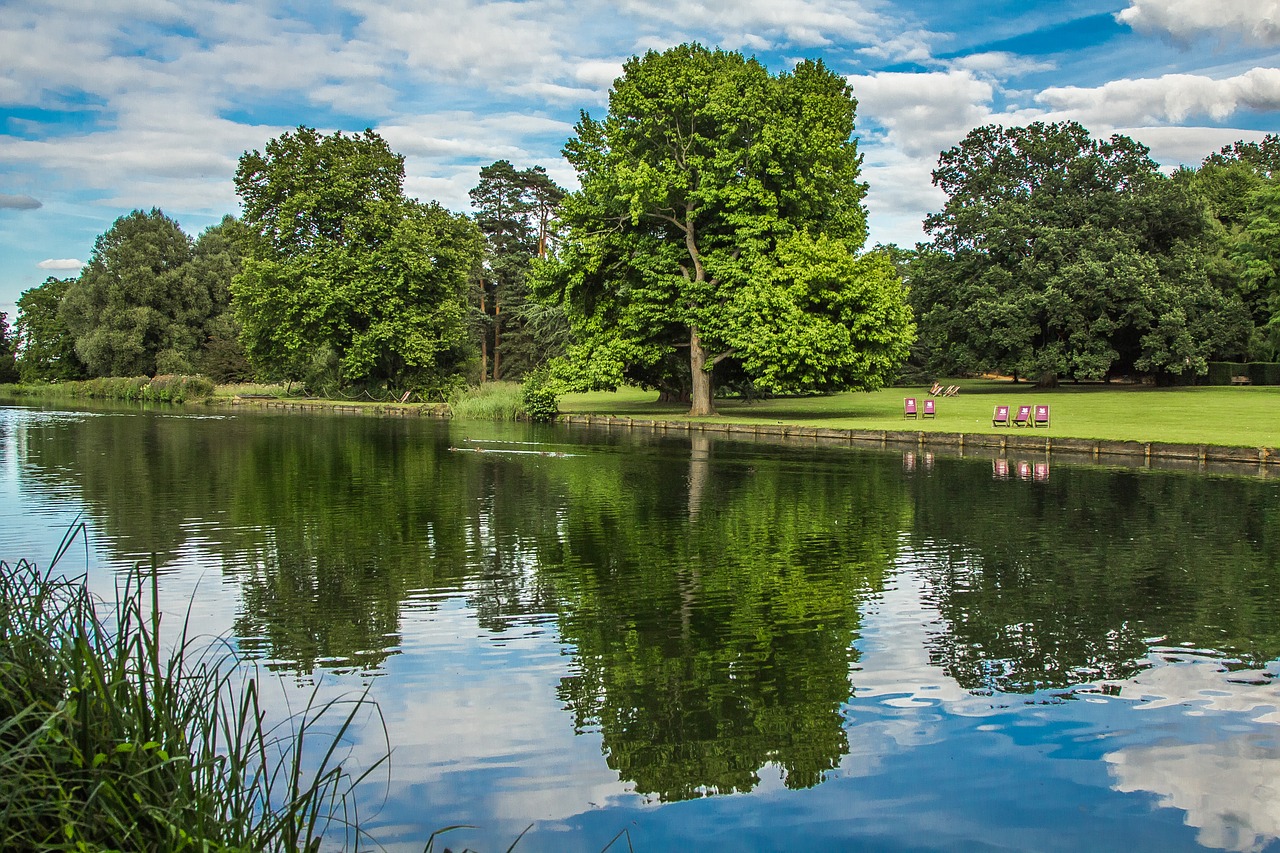 trees lake reflection free photo