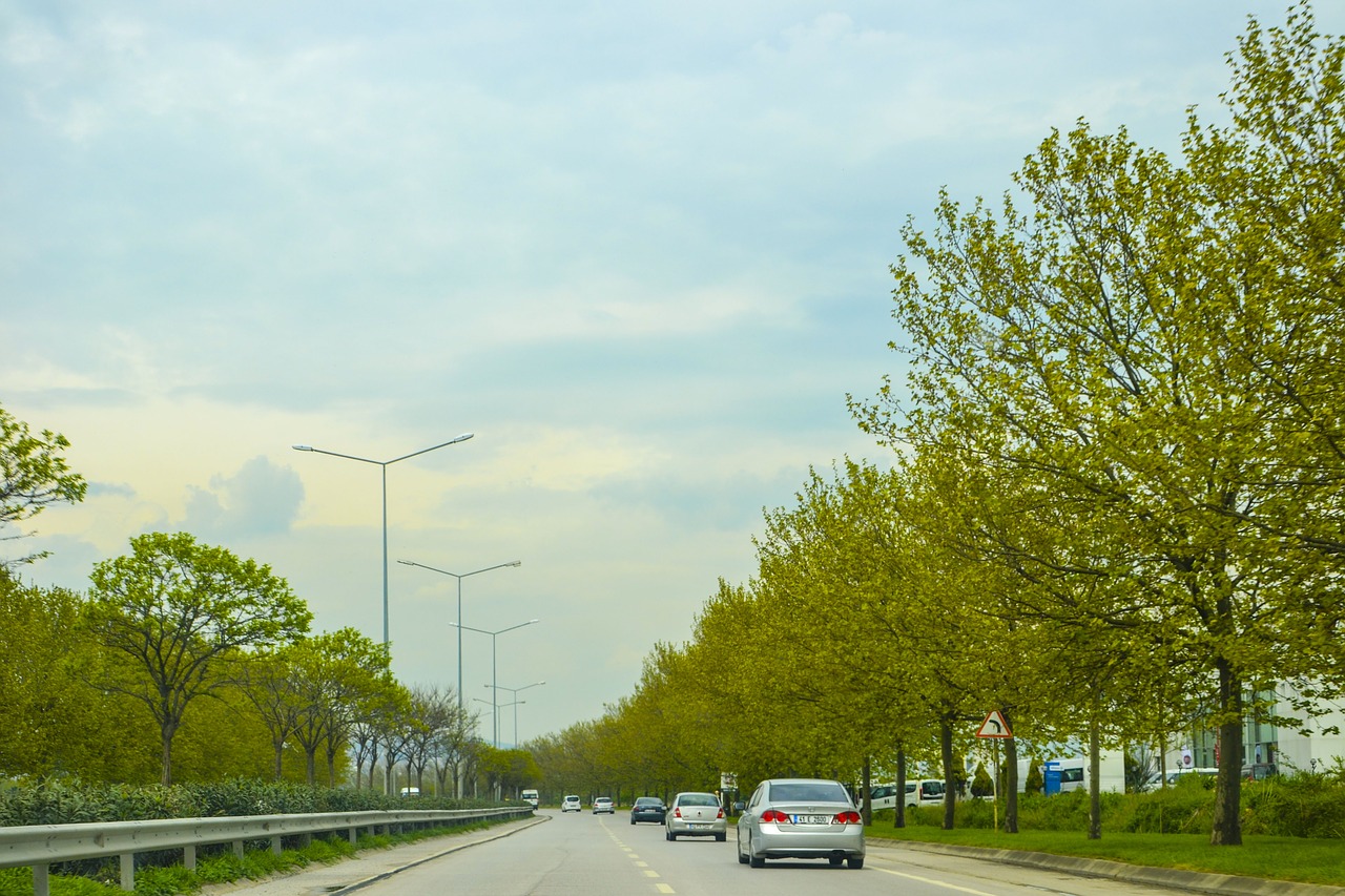 road long way tree free photo