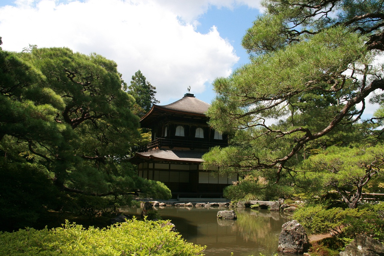 trees nature japan free photo