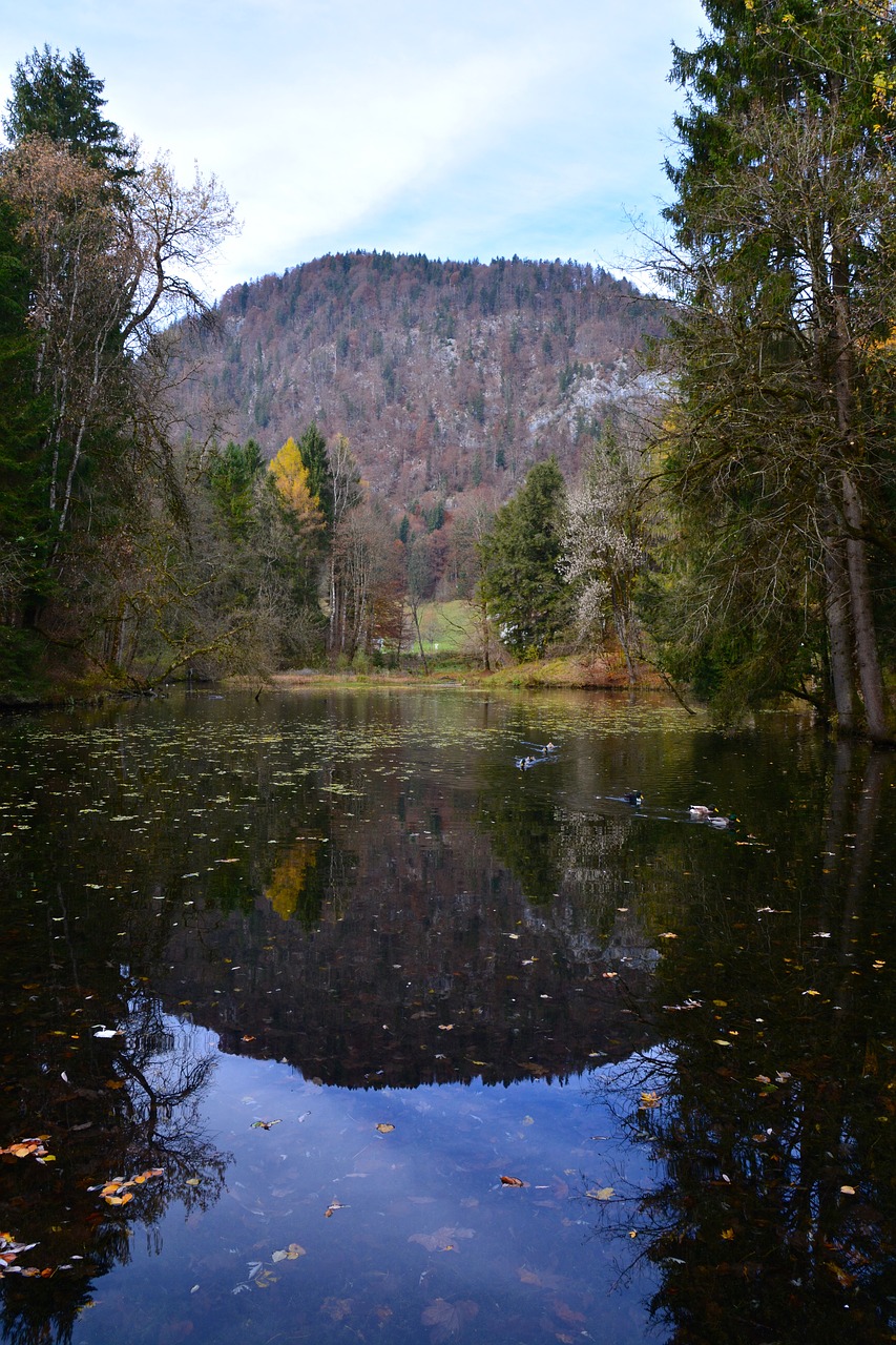 trees lake mountain free photo