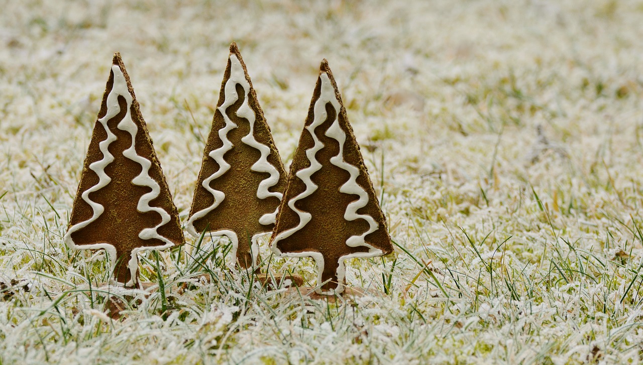 trees gingerbread hoarfrost free photo