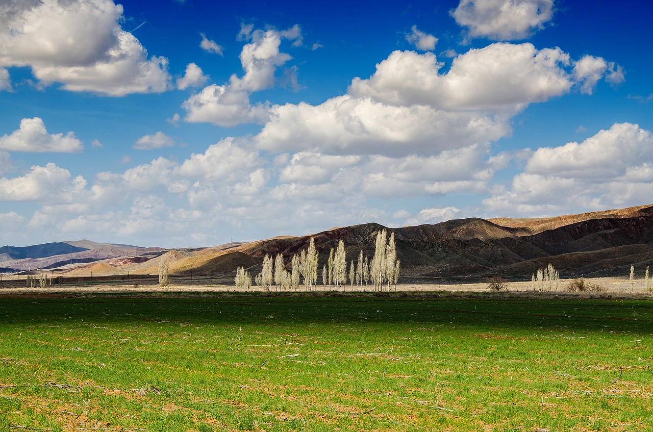 trees sky mountains free photo