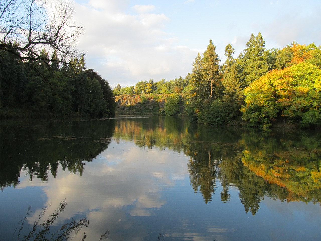 trees water nature free photo